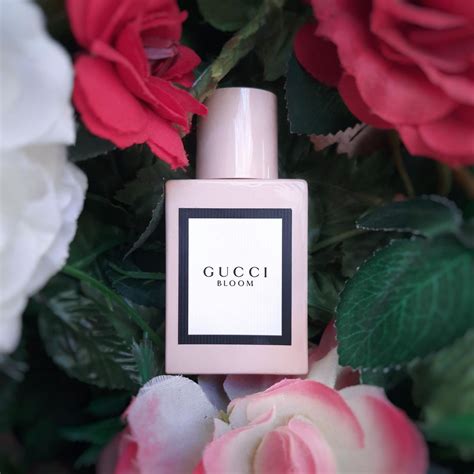 gucci nuovo profumo|Gucci bloom perfume knock off.